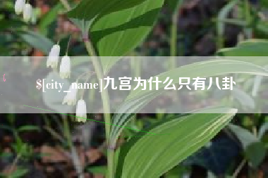 高平九宫为什么只有八卦