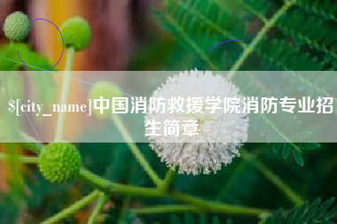 高平中国消防救援学院消防专业招生简章