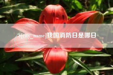 高平我国消防日是哪日