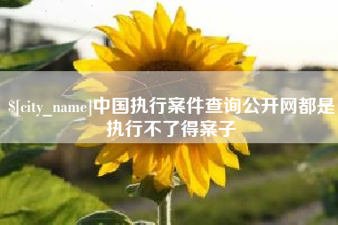 高平中国执行案件查询公开网都是执行不了得案子