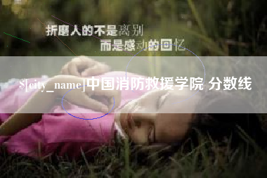 高平中国消防救援学院 分数线