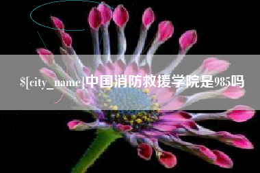 高平中国消防救援学院是985吗