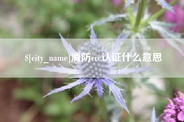 高平消防ccc认证什么意思