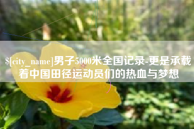 高平男子5000米全国记录-更是承载着中国田径运动员们的热血与梦想