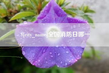 高平全国消防日哪一