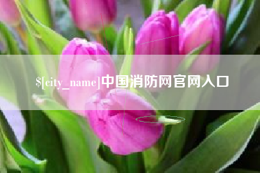 高平中国消防网官网入口