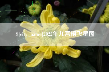 高平2022年九宫格飞星图