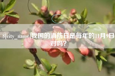 高平我国的消防日是每年的11月9日对吗？
