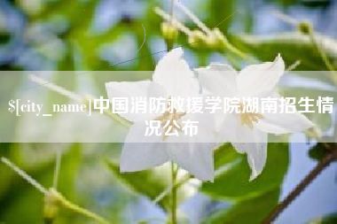 高平中国消防救援学院湖南招生情况公布