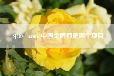 高平中国金牌都是哪个项目