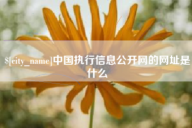 高平中国执行信息公开网的网址是什么