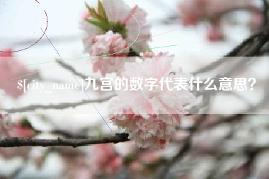 高平九宫的数字代表什么意思？