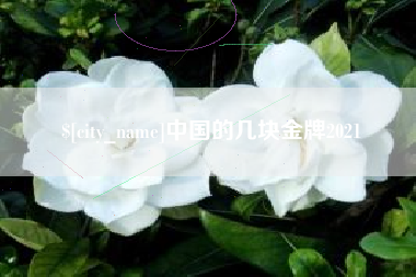 高平中国的几块金牌2021