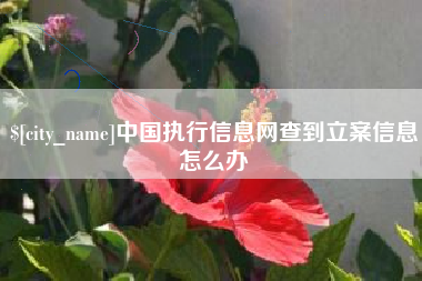 高平中国执行信息网查到立案信息怎么办