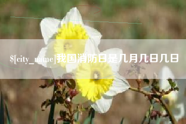 高平我国消防日是几月几日几日