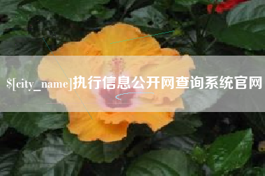 高平执行信息公开网查询系统官网
