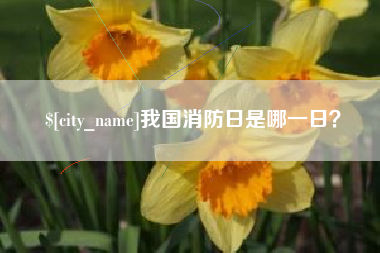 高平我国消防日是哪一日？