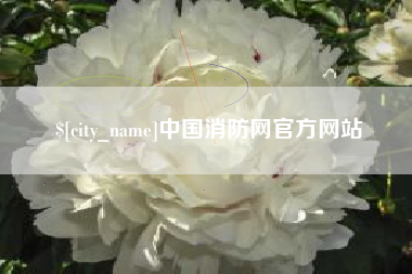 高平中国消防网官方网站