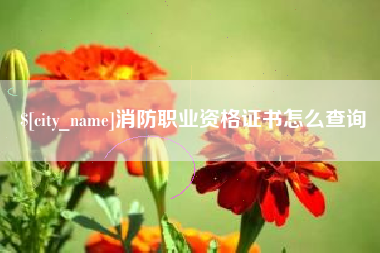 高平消防职业资格证书怎么查询