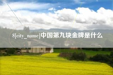 高平中国第九块金牌是什么