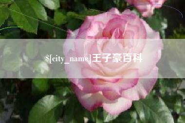 高平王子豪百科