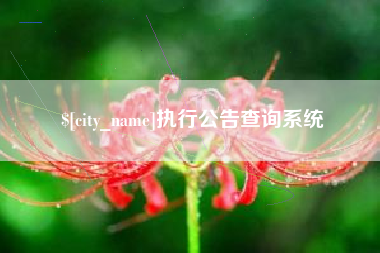 高平执行公告查询系统
