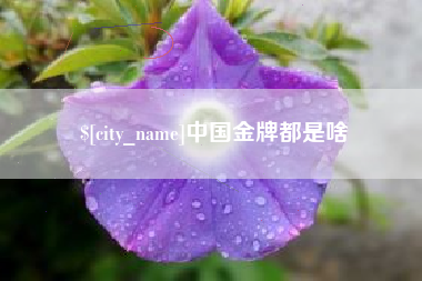 高平中国金牌都是啥
