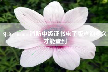 高平消防中级证书电子版查询多久才能查到