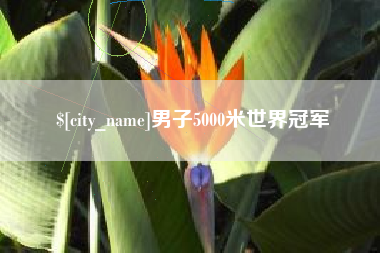 高平男子5000米世界冠军