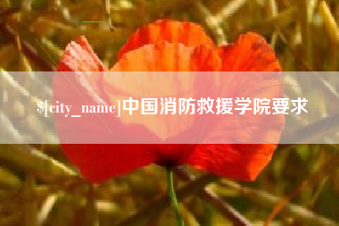 高平中国消防救援学院要求
