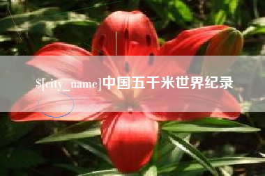 高平中国五千米世界纪录