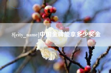 高平中国金牌能拿多少奖金