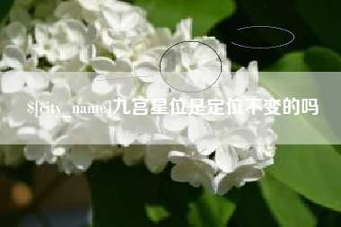 高平九宫星位是定位不变的吗