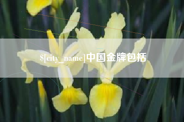 高平中国金牌包括