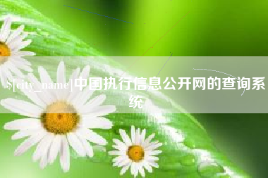 高平中国执行信息公开网的查询系统