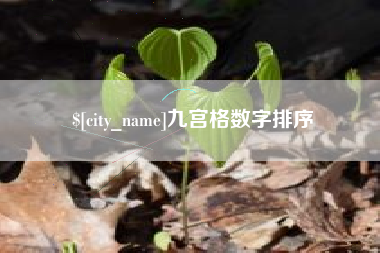 高平九宫格数字排序