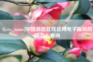 高平中国消防在线官网电子版消防证怎么查询