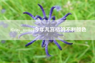 高平今年九宫格的不利颜色