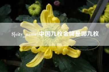 高平中国九枚金牌是哪九枚