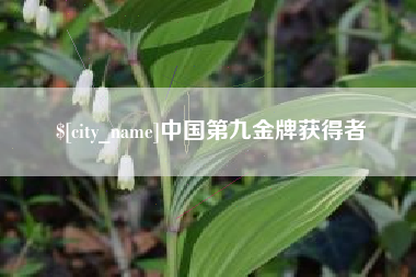 高平中国第九金牌获得者