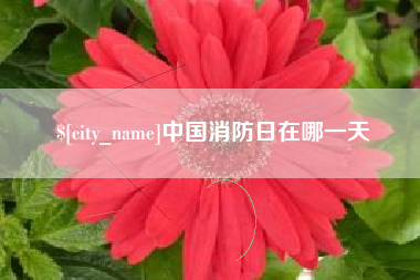 高平中国消防日在哪一天