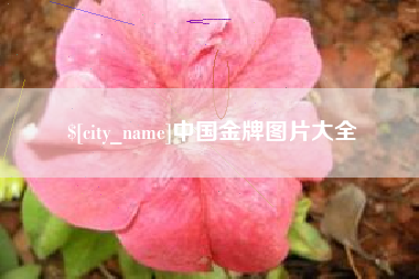 高平中国金牌图片大全