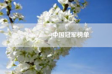 高平中国冠军榜单