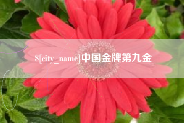 高平中国金牌第九金