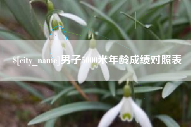 高平男子5000米年龄成绩对照表