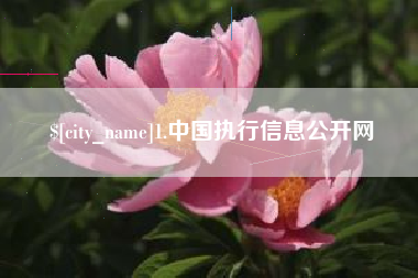 高平1.中国执行信息公开网