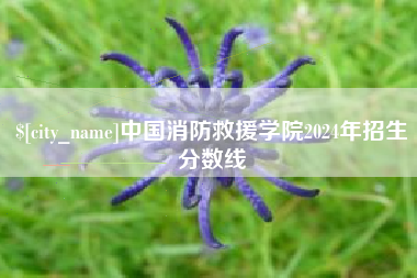 高平中国消防救援学院2024年招生分数线