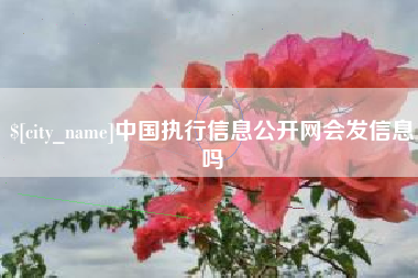 高平中国执行信息公开网会发信息吗