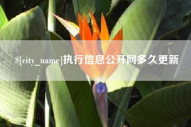 高平执行信息公开网多久更新
