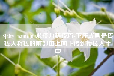 高平60米接力赛技巧-下压式则是传棒人将棒的前部由上向下传到接棒人手中